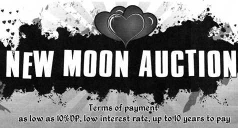 NEW-MOON-AUCTION-OF-FORECLOSED-PROPERTIES-ON-FEBRUARY-13-2010-thumbnail