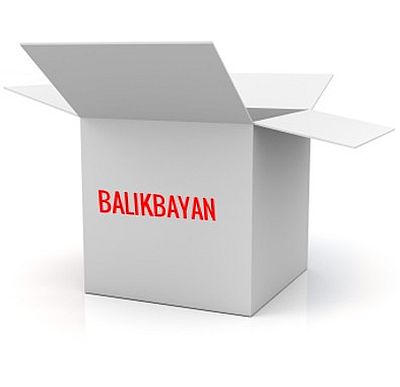 Balikbayan box