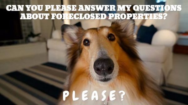 frequently-asked-questions-about-foreclosed-properties