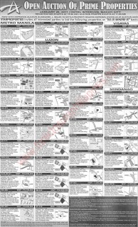 star-auction-2011-open-auction-prime-properties-january-28-2011
