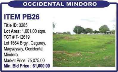 pnb-foreclosed-properties-calapan-auction-april-7-2011-item-pb26