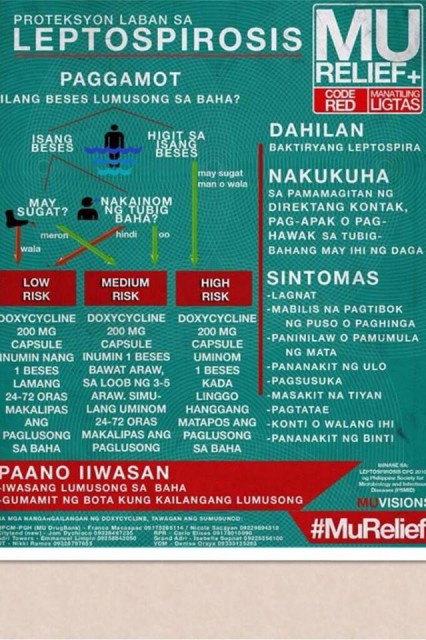 Leptospirosis medicine