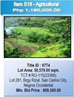 PNB Foreclosed Properties San Carlos Auction item s18