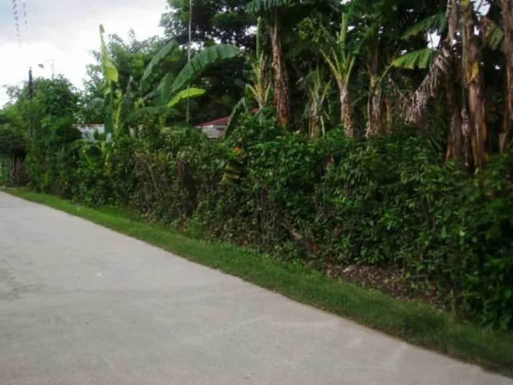 BFS Foreclosed Property for sale at Lot 12102, Barangay Road, Phase 0