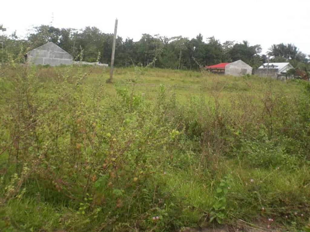 BFS Foreclosed Single Detached at PARAGON VILLAGE SUBD., Bo. Dinginan