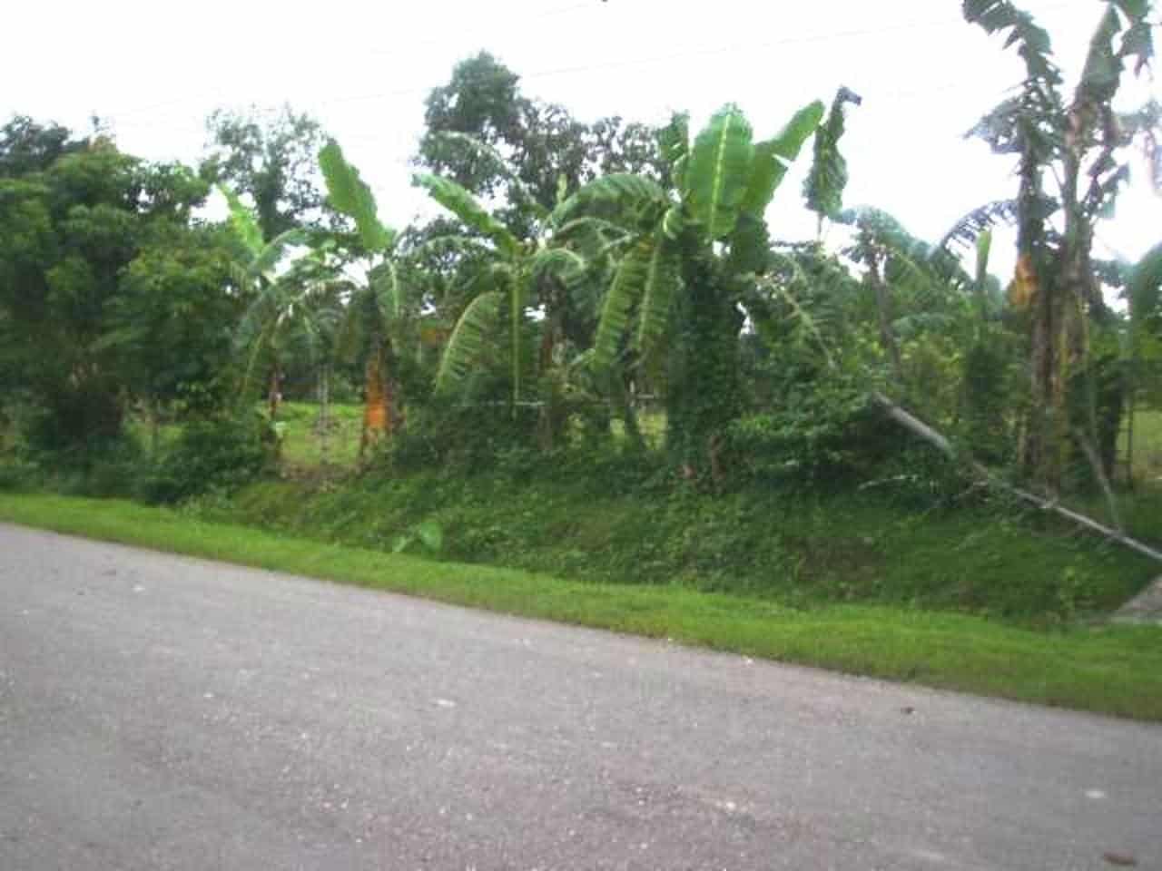 BFS Foreclosed Single Attached at L701A, San Carlos Road