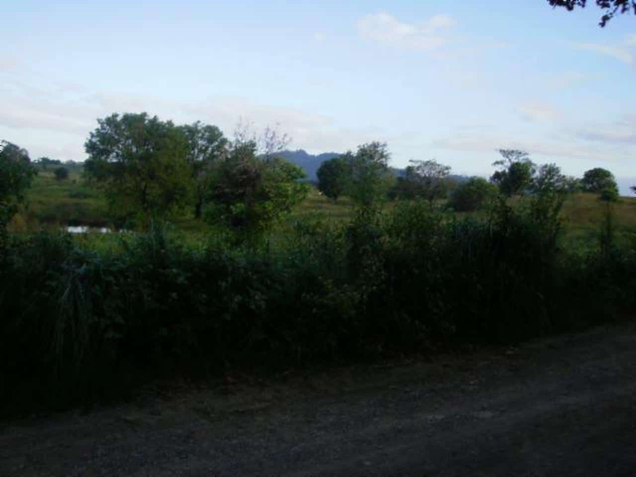 BFS foreclosed property for sale at Lot 175B8D1, 0, Bo. San Vicente