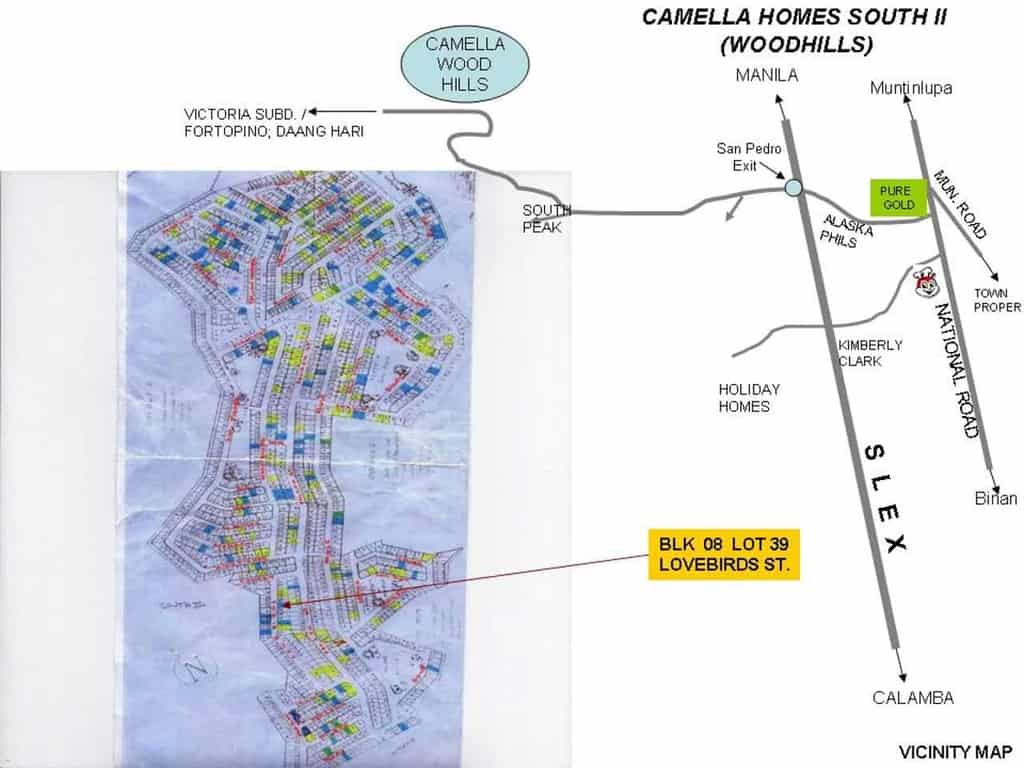 BFS Foreclosed Property For Sale in B8, L39, LOVEBIRDS, Barangay Bo