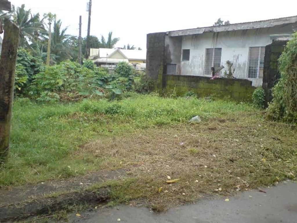 BFS foreclosed property for sale at Blk B1, Lot L7, 1St Street