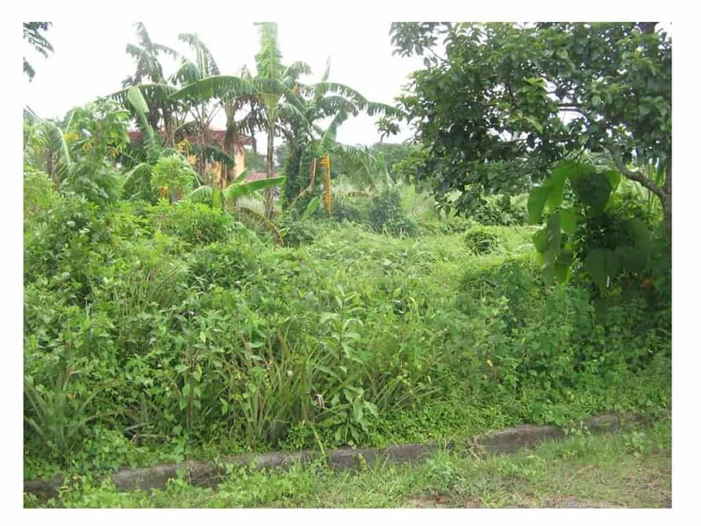 BFS Foreclosed Single Detached at HAPPY HOMES GREENVIEW, Brgy