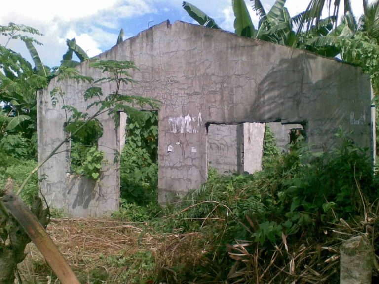 BFS Foreclosed Single Detached at CHRISTINE VILLAGE, Bo. Ragpatan