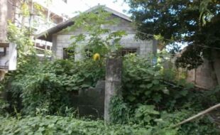 2857932 pic001