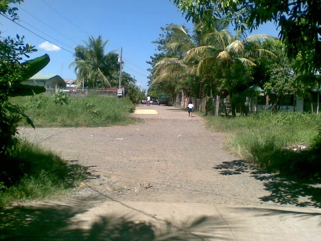 BFS Foreclosed Single Detached at ALICIA MIDTOWN SUBD., Brgy. Paddad