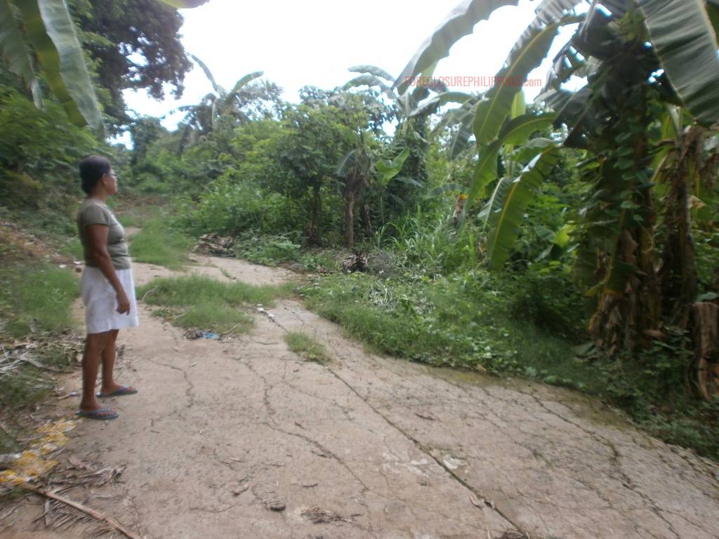 BFS Foreclosed Single Attached Complete House and Lot MT. VIEW