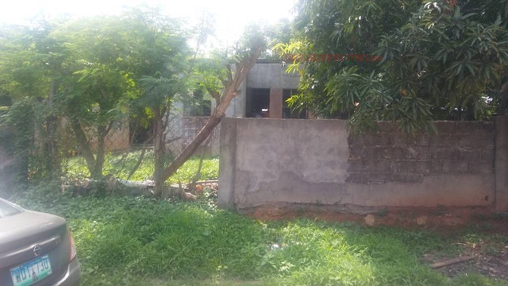 BFS Foreclosed Property (Single Detached) at MT. VIEW RESORT SUBD., Bo