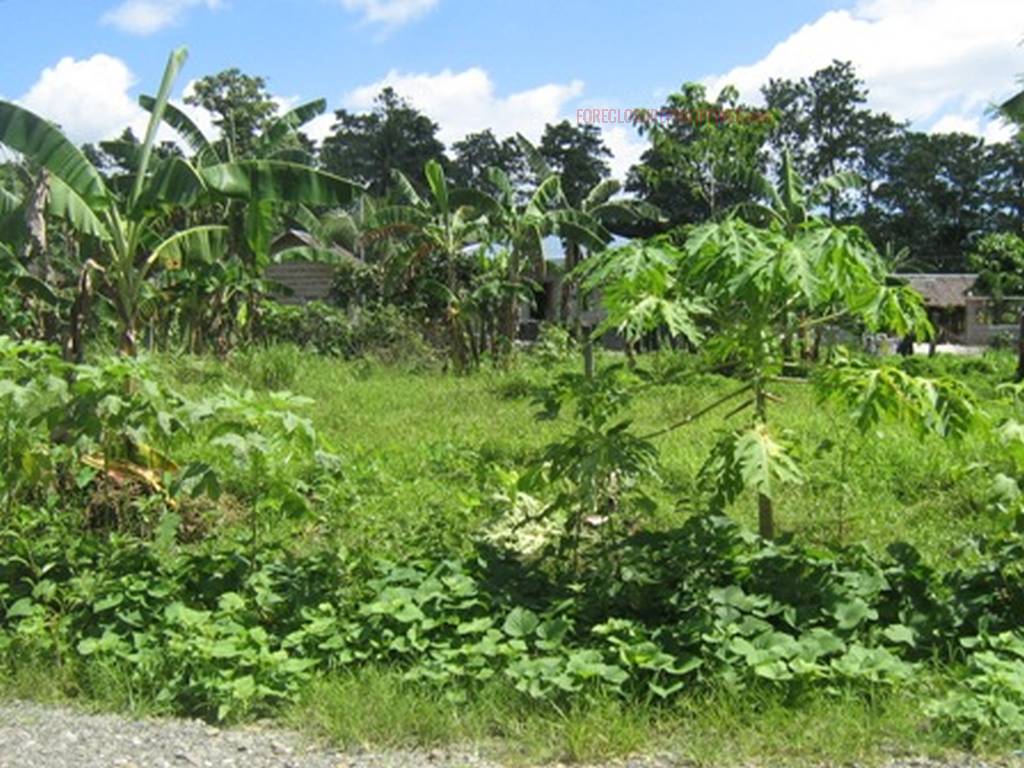 BFS Foreclosed Single Attached House and Lot TAMARAW VILLAGE IV, Bo. Malayas, Victoria