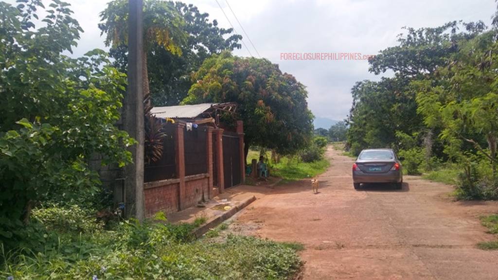 BFS Foreclosed Single Detached Complete House and Lot MT. VIEW