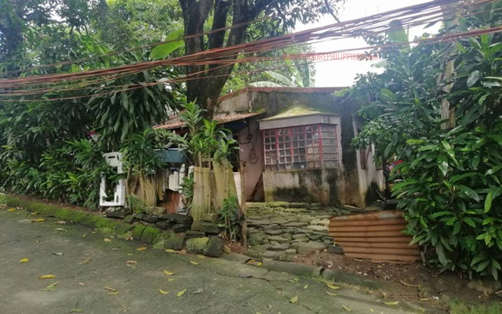 BFS Foreclosed Single Detached House and Lot ANTIPOLO HILLS SUBD., Bo