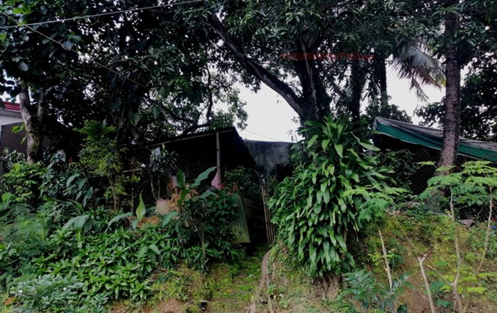 BFS Foreclosed Property (Single Detached) at ANTIPOLO HILLS SUBD., Bo