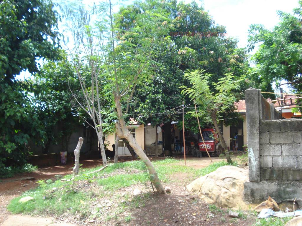 BFS Foreclosed Single Detached Complete House and Lot MT. VIEW