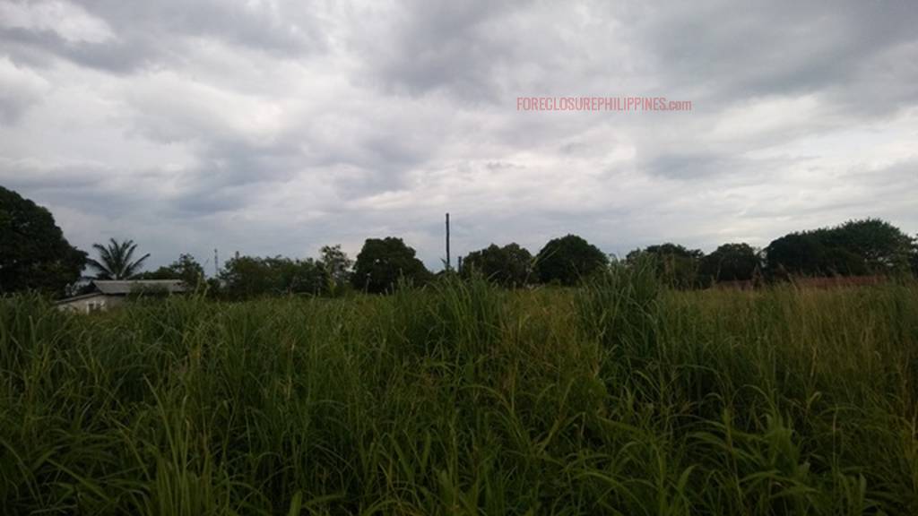 BFS Foreclosed Property (Row House) at MT. VIEW RESORT SUBD., Bo