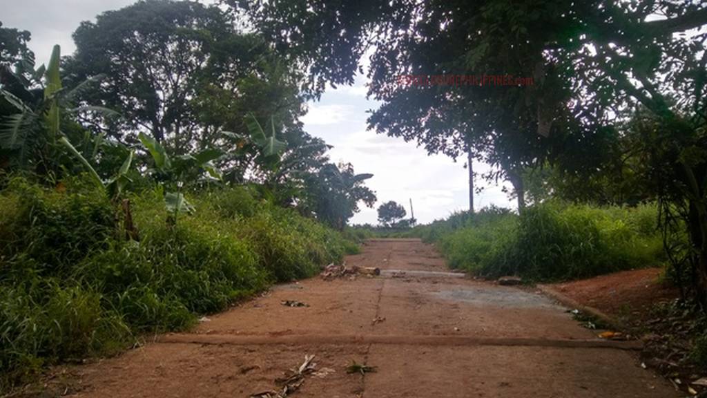 BFS Foreclosed Single Detached House and Lot MT. VIEW RESORT SUBD