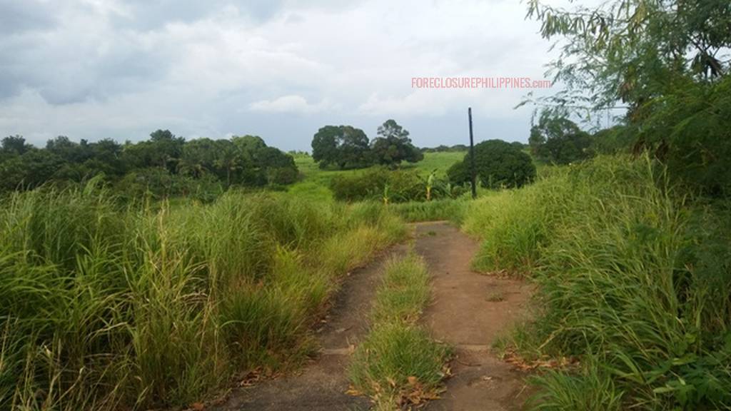 BFS Foreclosed Single Detached Complete House and Lot MT. VIEW