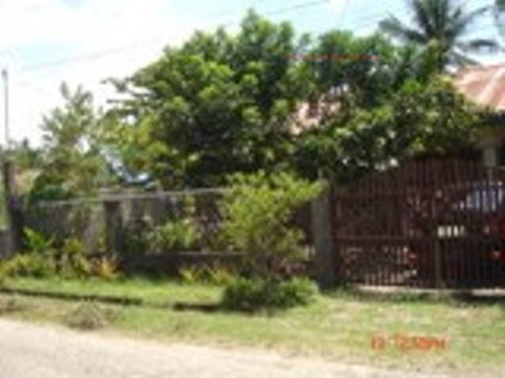 BFS Foreclosed Single Detached at MARGARITA VILLAGE, Bo. Pagsabangan