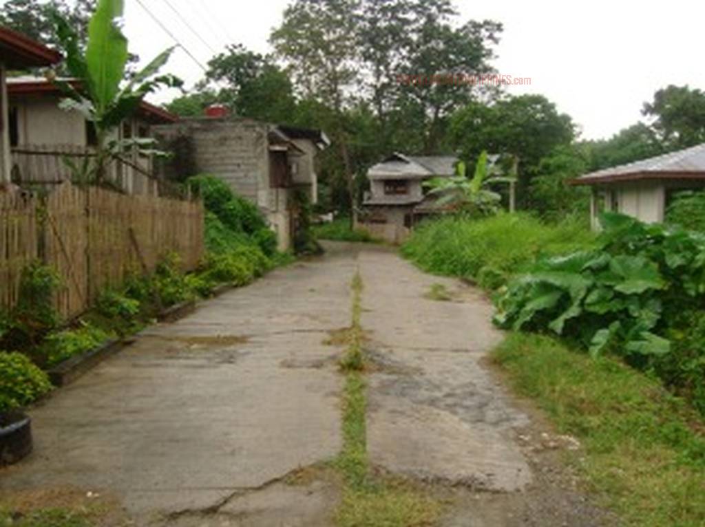 BFS Foreclosed Single Detached House and Lot VILLA FLORA EXECUTIVE HOMES SUBD., Brgy. Gusa
