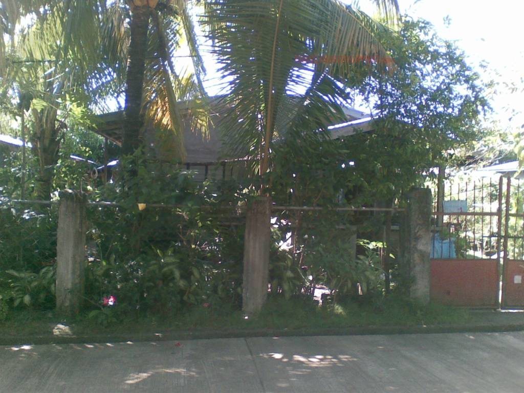 BFS Foreclosed Single Detached Complete House and Lot ALICIA