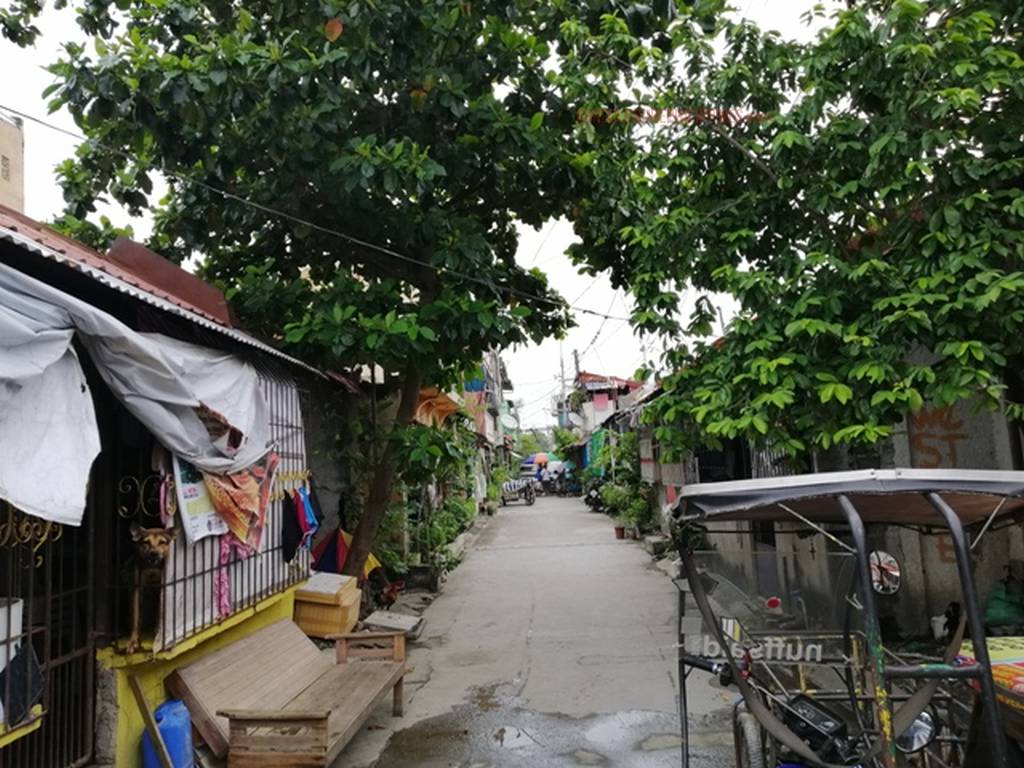 BFS Foreclosed Row House at SOUTHFAIRWAY HOMES CLASSIC, Bo. Landayan