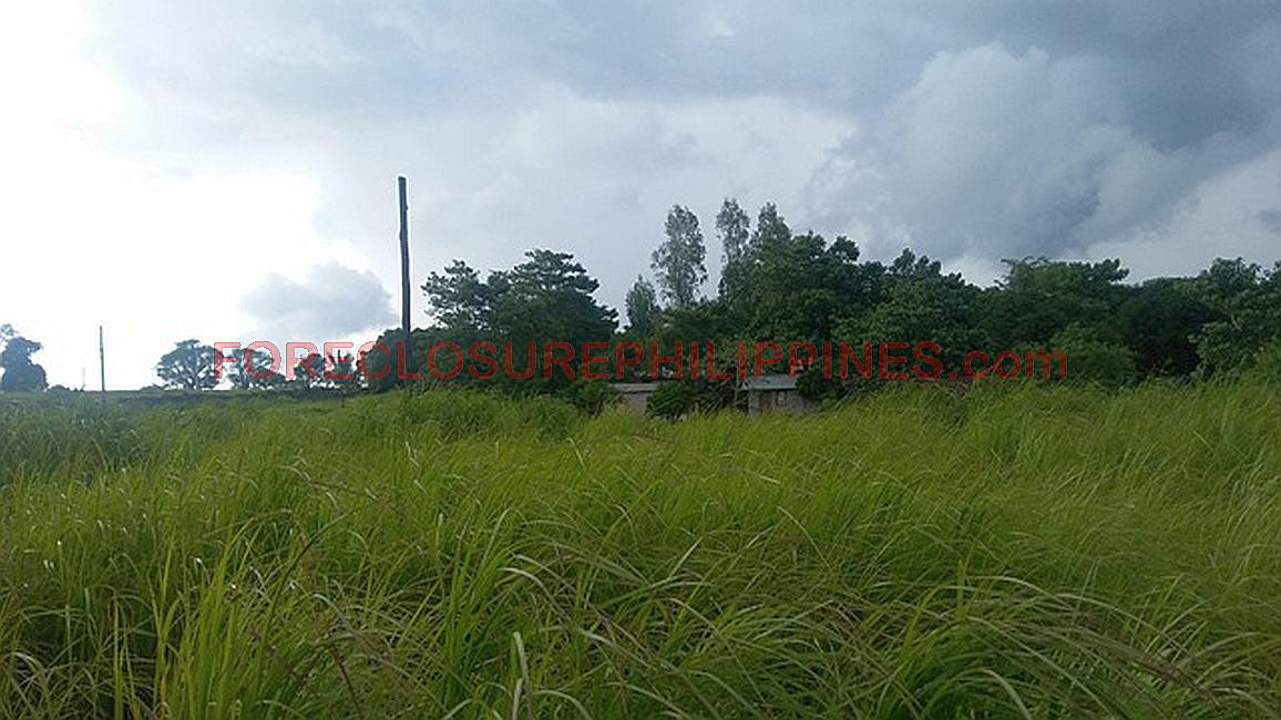 BFS Foreclosed Single Detached House and Lot MT. VIEW RESORT SUBD