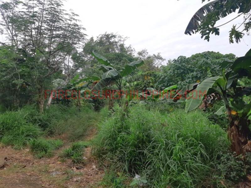 BFS Foreclosed Single Attached House and Lot MT. VIEW VILLAGE, Bo