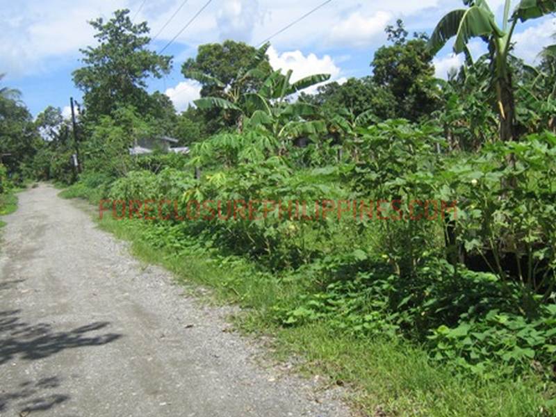 BFS Foreclosed Single Attached House and Lot TAMARAW VILLAGE IV, Bo