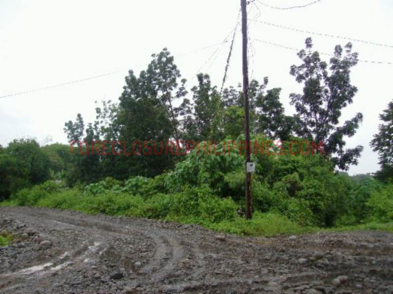 BFS Foreclosed Single Attached House and Lot 0, Bo. Bical, Bayambang
