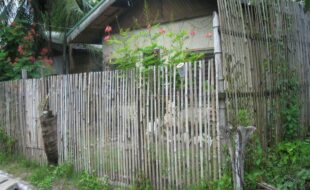 0103359 pic001