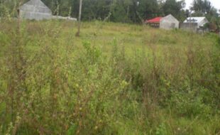 Foreclosed Properties Philippines Database 32 0289205 pic001