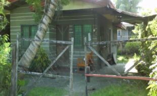 0298765 pic001