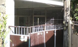 0339306 pic001