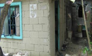 0419376 pic001