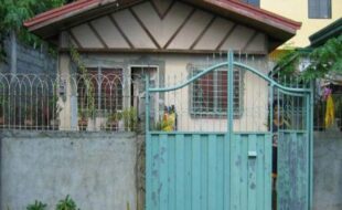 1155732 pic001