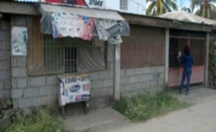 1367402 pic001