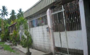 1415694 pic001