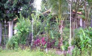 1484671 pic001