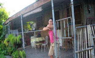 1499896 pic001