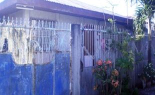 1558813 pic001