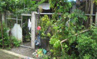 1578896 pic001