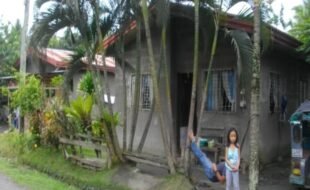 1666809 pic001