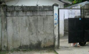 1667546 pic001