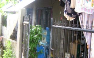 1683924 pic001